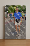 Evenement foto: Nijmeegse Vierdaagse 445
