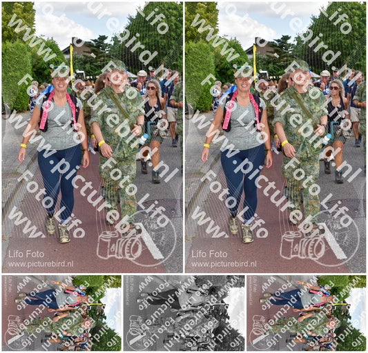 Evenement foto: Nijmeegse Vierdaagse 445