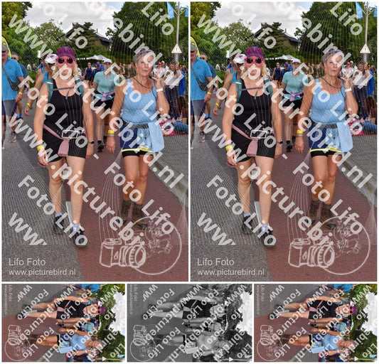 Evenement foto: Nijmeegse Vierdaagse 445