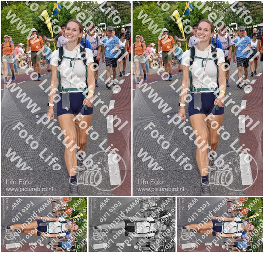 Evenement foto: Nijmeegse Vierdaagse 445