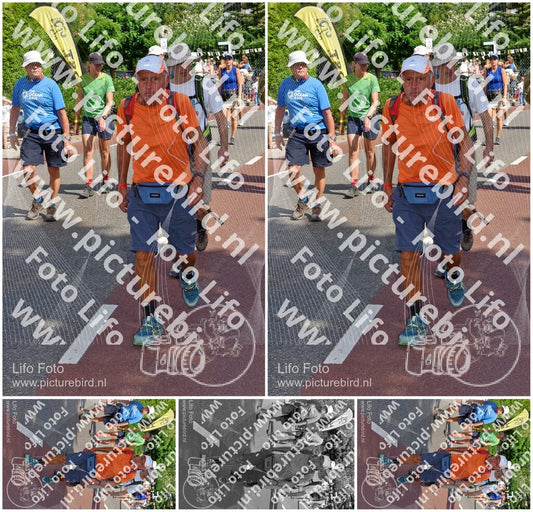 Evenement foto: Nijmeegse Vierdaagse 445