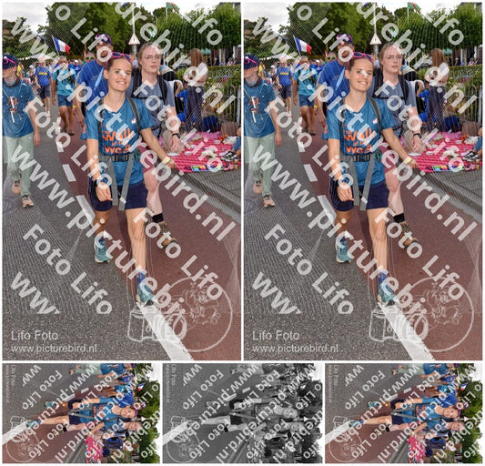 Evenement foto: Nijmeegse Vierdaagse 445