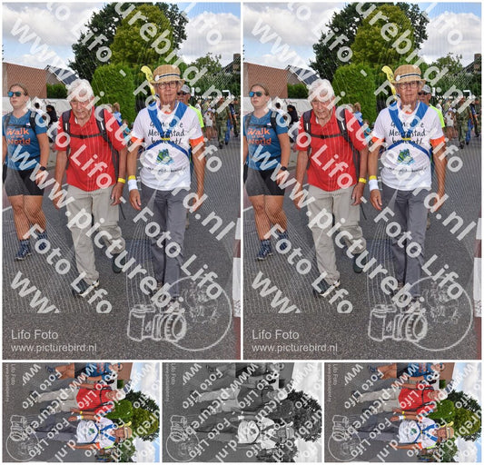 Evenement foto: Nijmeegse Vierdaagse 445