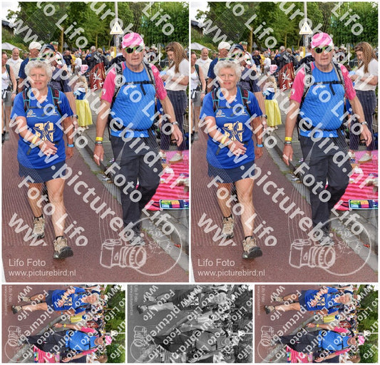 Evenement foto: Nijmeegse Vierdaagse 445