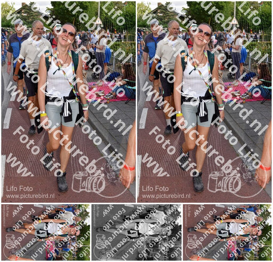 Evenement foto: Nijmeegse Vierdaagse 445
