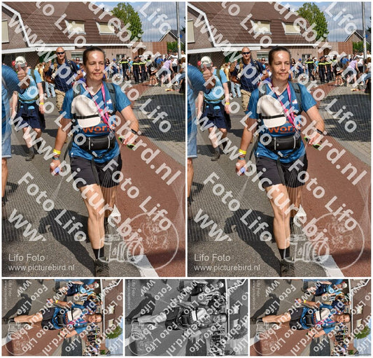 Evenement foto: Nijmeegse Vierdaagse 445