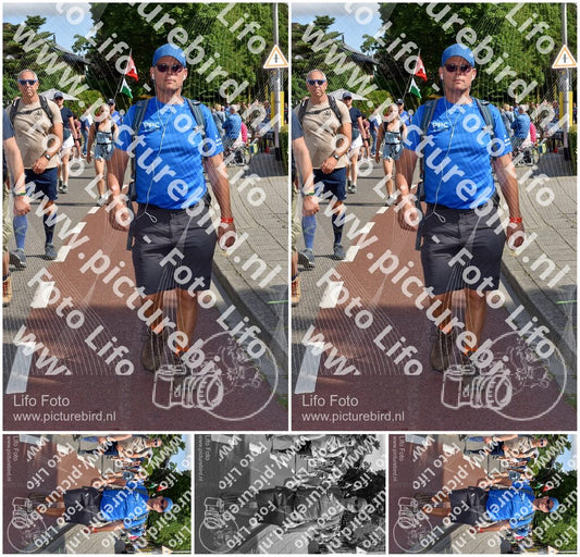 Evenement foto: Nijmeegse Vierdaagse 444