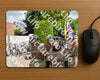Evenement foto: Nijmeegse Vierdaagse 444
