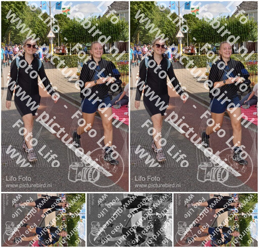 Evenement foto: Nijmeegse Vierdaagse 444