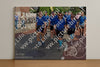 Evenement foto: Nijmeegse Vierdaagse 444