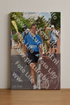Evenement foto: Nijmeegse Vierdaagse 444