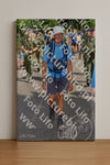Evenement foto: Nijmeegse Vierdaagse 444