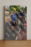 Evenement foto: Nijmeegse Vierdaagse 444
