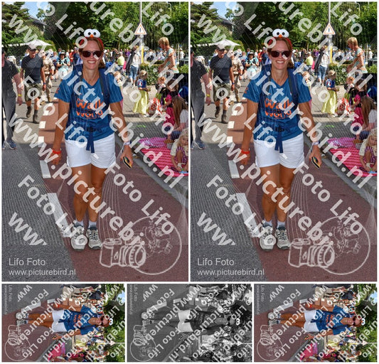 Evenement foto: Nijmeegse Vierdaagse 444