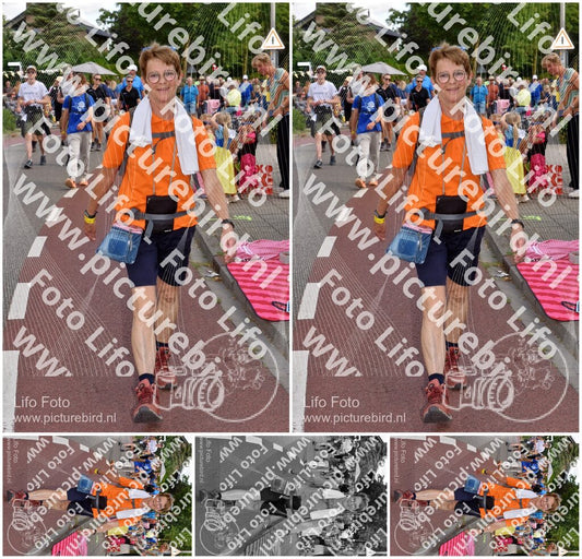 Evenement foto: Nijmeegse Vierdaagse 444