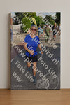 Evenement foto: Nijmeegse Vierdaagse 443