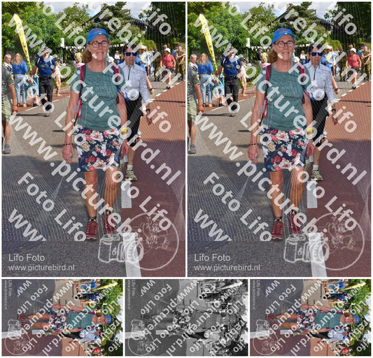 Evenement foto: Nijmeegse Vierdaagse 443