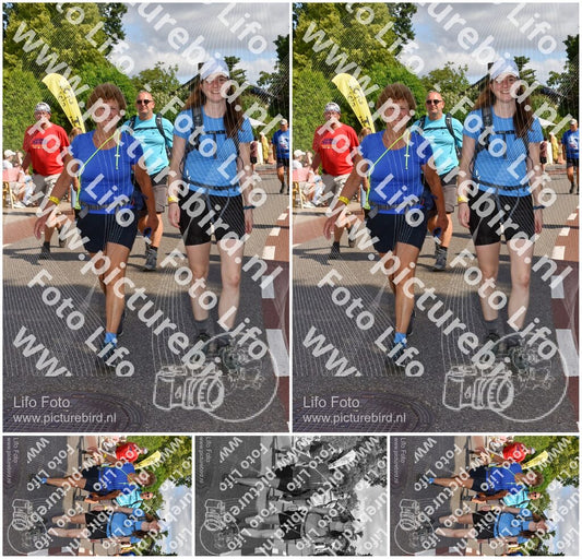Evenement foto: Nijmeegse Vierdaagse 443