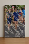 Evenement foto: Nijmeegse Vierdaagse 443