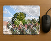 Evenement foto: Nijmeegse Vierdaagse 443