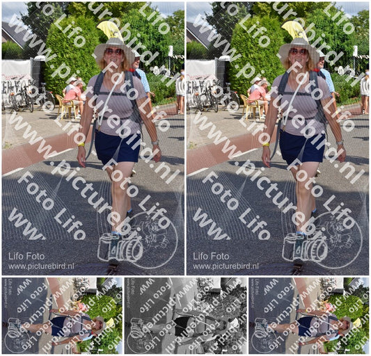 Evenement foto: Nijmeegse Vierdaagse 443