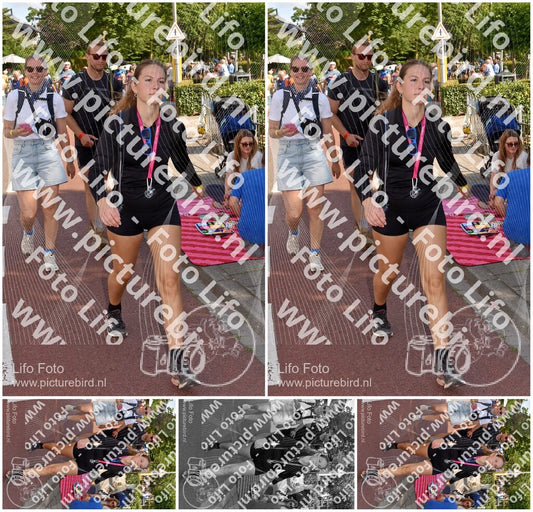 Evenement foto: Nijmeegse Vierdaagse 443