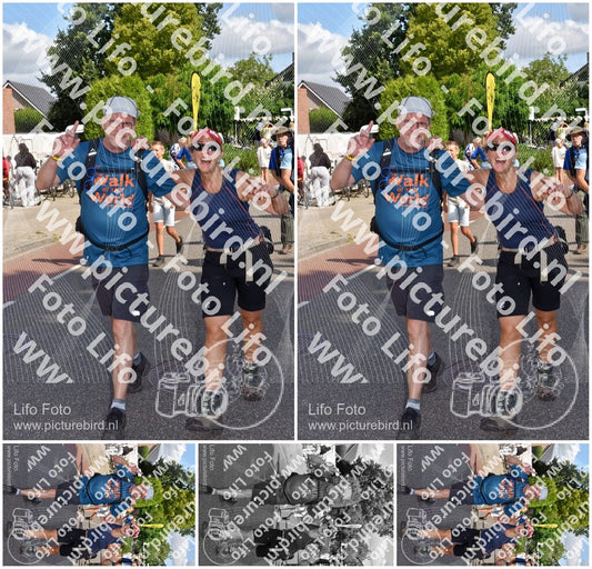 Evenement foto: Nijmeegse Vierdaagse 443