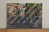 Evenement foto: Nijmeegse Vierdaagse 443