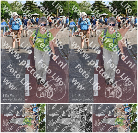 Evenement foto: Nijmeegse Vierdaagse 443
