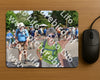Evenement foto: Nijmeegse Vierdaagse 443