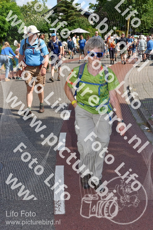 Evenement foto: Nijmeegse Vierdaagse 443