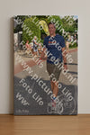 Evenement foto: Nijmeegse Vierdaagse 443