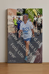 Evenement foto: Nijmeegse Vierdaagse 442