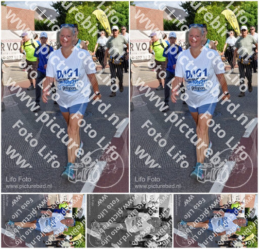 Evenement foto: Nijmeegse Vierdaagse 442