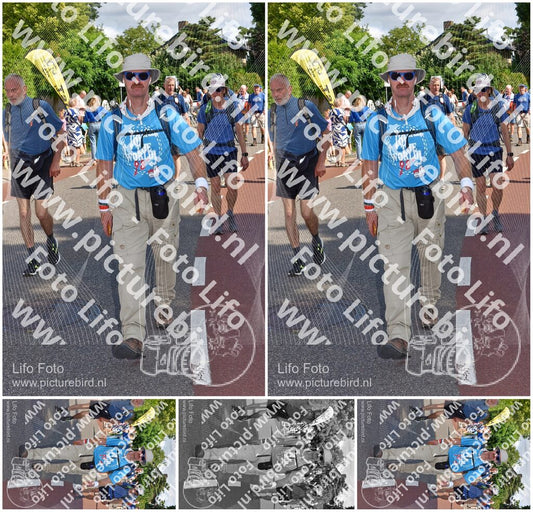 Evenement foto: Nijmeegse Vierdaagse 442