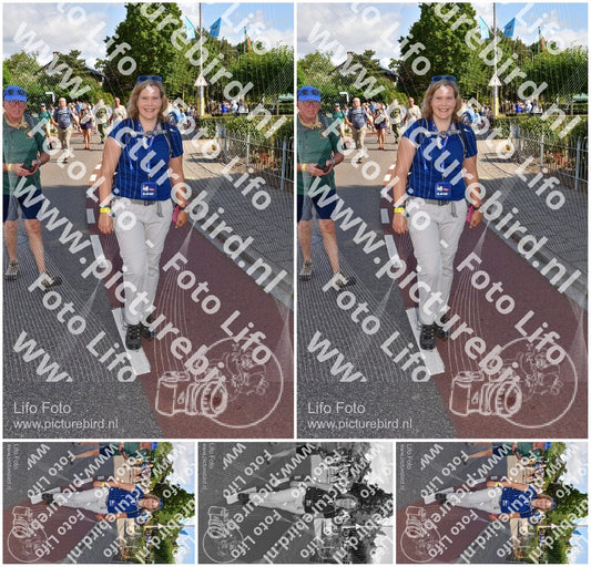 Evenement foto: Nijmeegse Vierdaagse 442