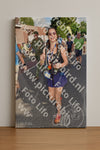 Evenement foto: Nijmeegse Vierdaagse 442