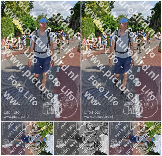 Evenement foto: Nijmeegse Vierdaagse 442