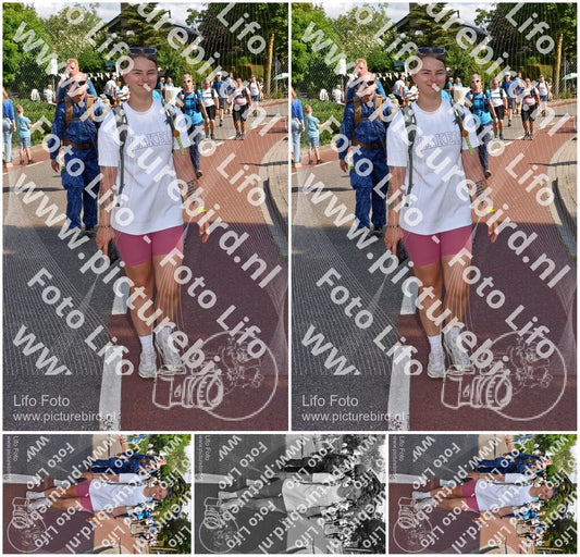 Evenement foto: Nijmeegse Vierdaagse 442
