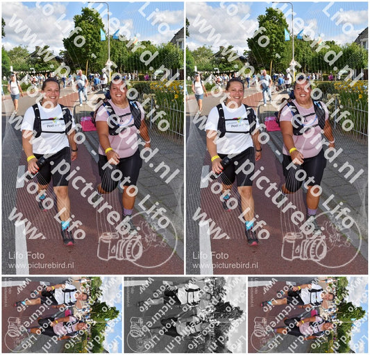 Evenement foto: Nijmeegse Vierdaagse 442