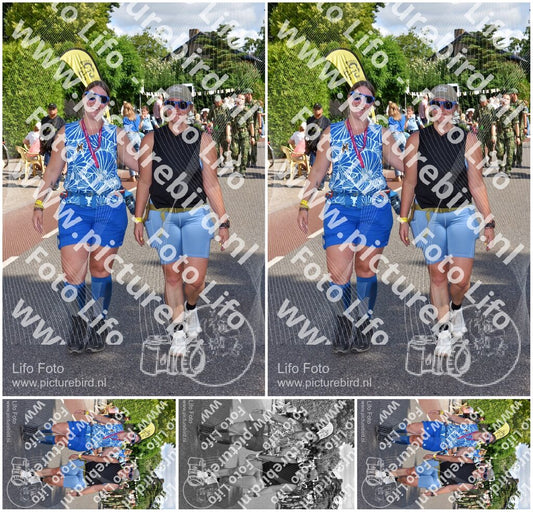 Evenement foto: Nijmeegse Vierdaagse 442