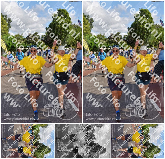 Evenement foto: Nijmeegse Vierdaagse 442