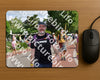 Evenement foto: Nijmeegse Vierdaagse 442