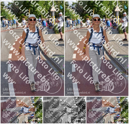 Evenement foto: Nijmeegse Vierdaagse 442