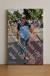 Evenement foto: Nijmeegse Vierdaagse 442