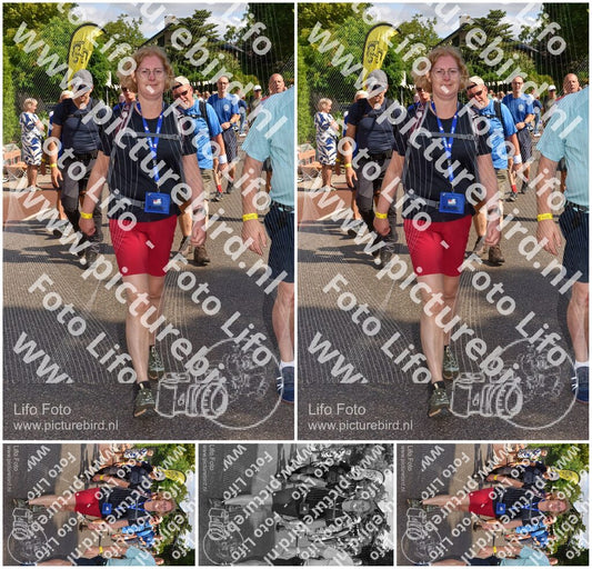 Evenement foto: Nijmeegse Vierdaagse 442