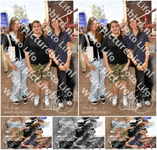 Evenement foto: Nijmeegse Vierdaagse 1095