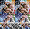 Evenement foto: Nijmeegse Vierdaagse 1090