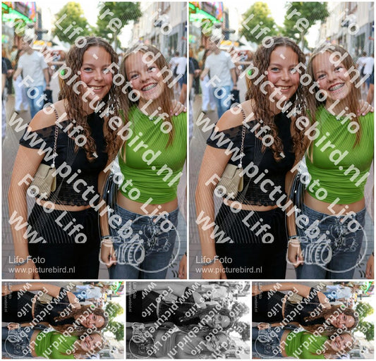 Evenement foto: Nijmeegse Vierdaagse 1090
