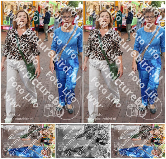 Evenement foto: Nijmeegse Vierdaagse 1090